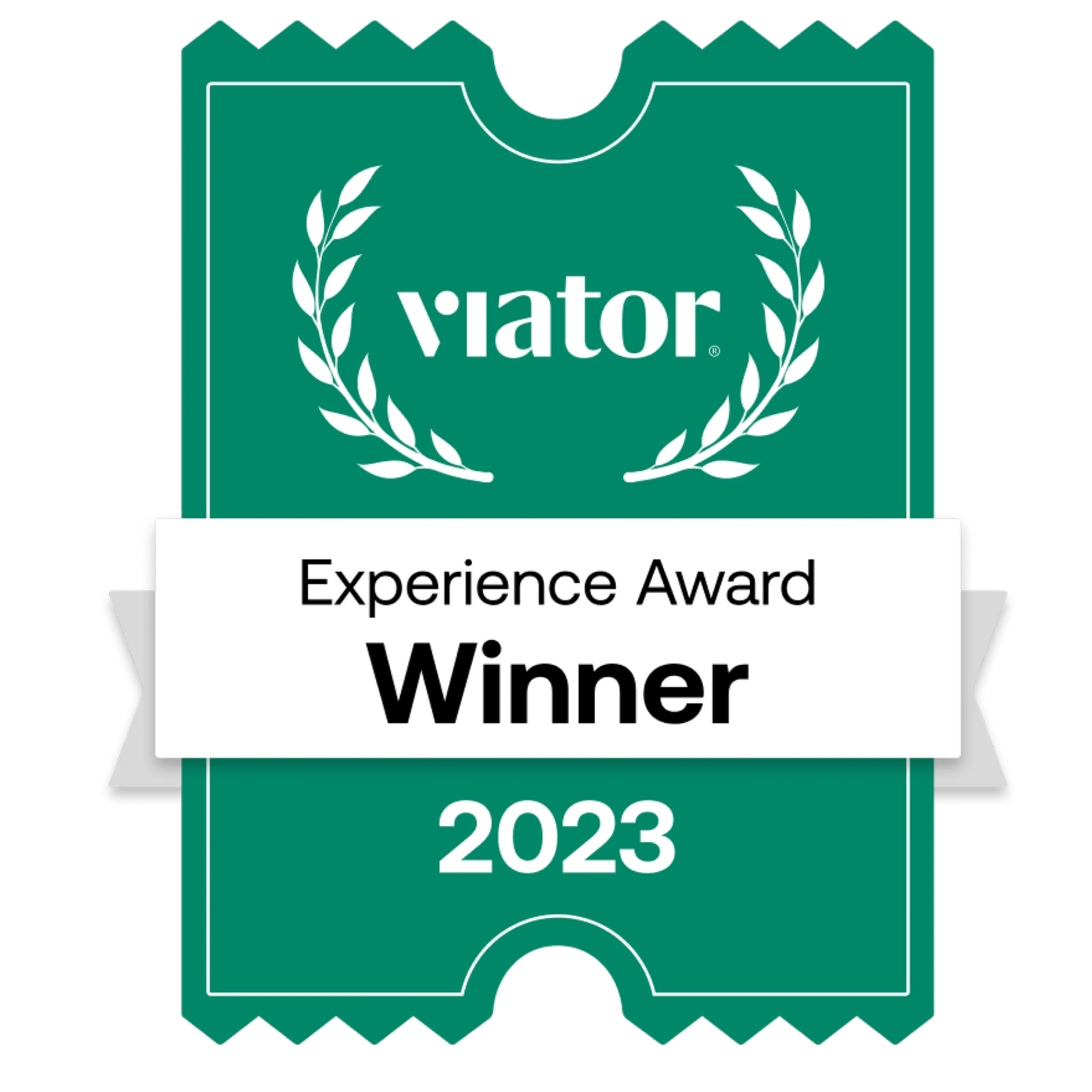 viator experience award winner 2023