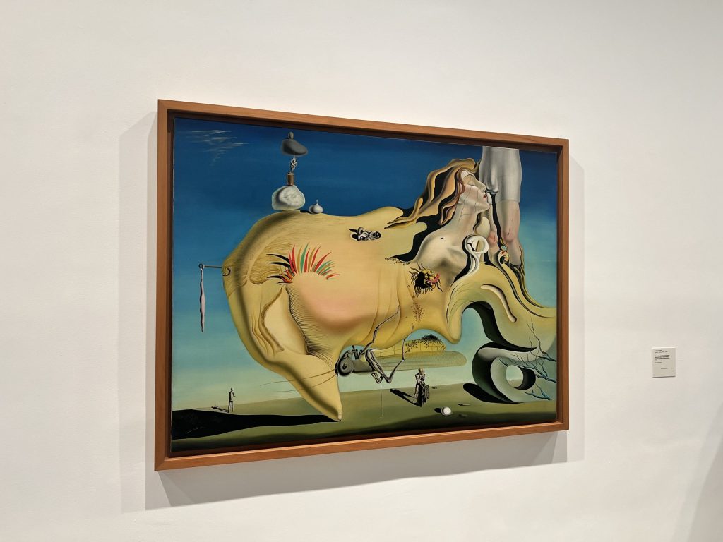 "Portrait of the Great Masturbator", Salvador Dalí, Museo Reina Sofía. The guides you need