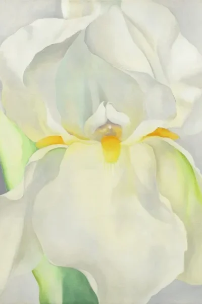 O KEEFFE Georgia Lirio blanco nº 7 Museo Nacional Thyssen Bornemisza